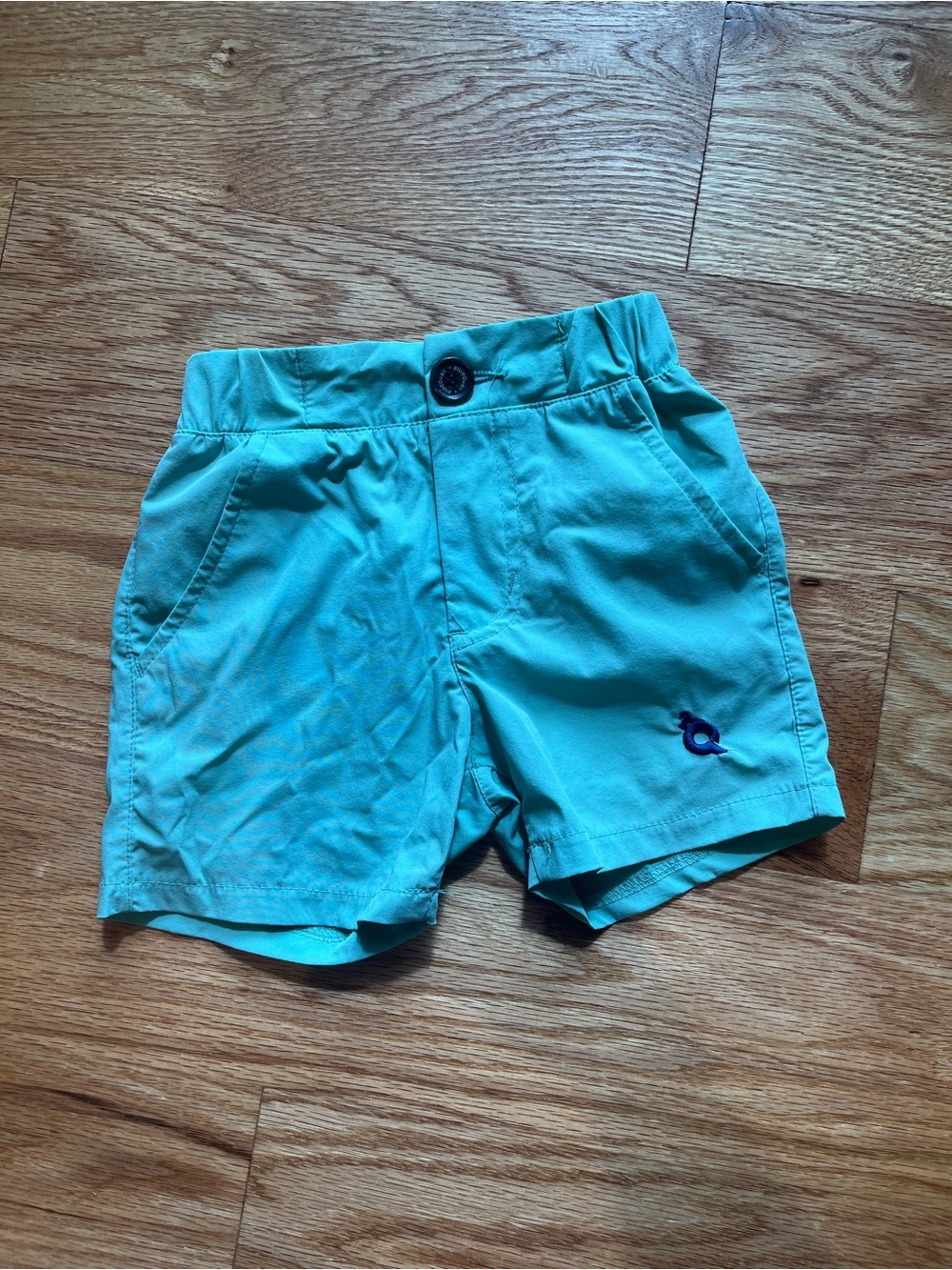 BLUE QUAIL - Toddler Aqua Shorts with Embroidered Logo
